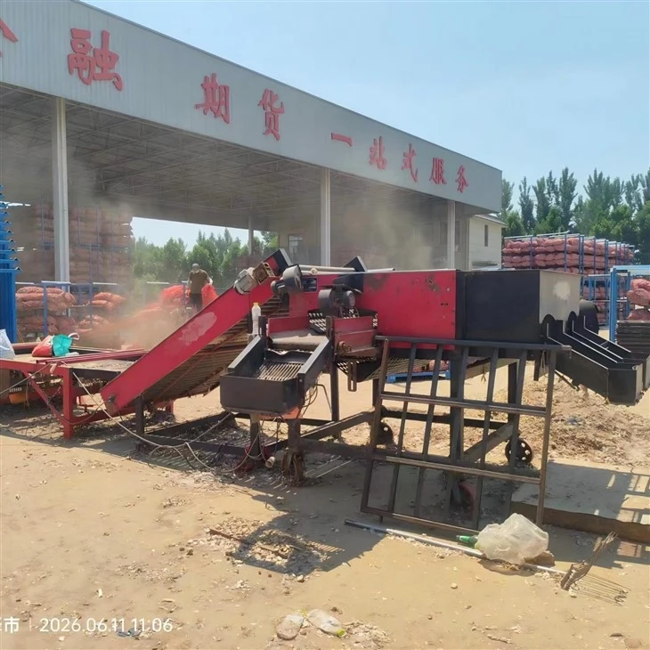 Factory Direct Large 9 Grades Garlic Sorting Machine Labor Saving Time Saving Automatic Garlic Size Grading Equipment For Garlic Processing Factory suppliers