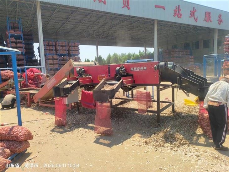 Factory Direct Large 9 Grades Garlic Sorting Machine Labor Saving Time Saving Automatic Garlic Size Grading Equipment For Garlic Processing Factory factory