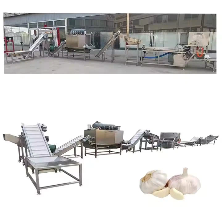 Fully Automatic Peeled Garlic Skin Removing Peeling Production Line