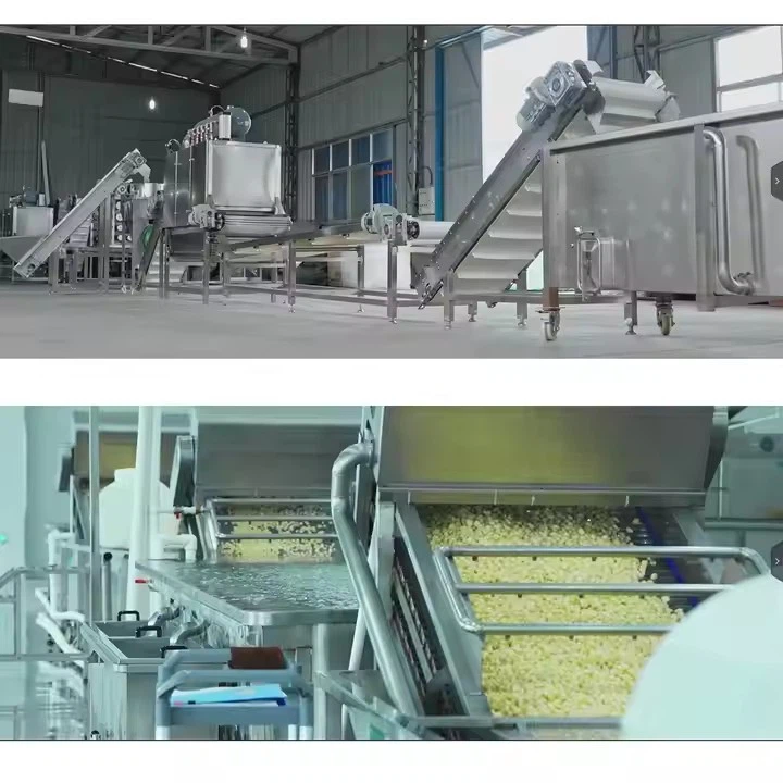 Línea De Producción De Polvo De Ajo De 100-1000 kg