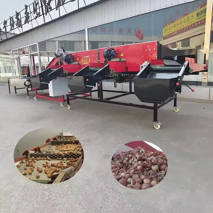 Máquina Clasificadora De Tamaño Más Vendida Para Ajo, Mango, Tomate, Papa Y Cebolla / Equipo De Clasificación Y Calibrado