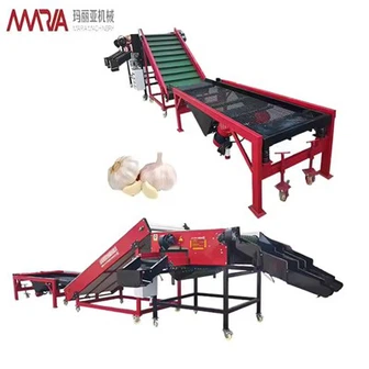 China Facial personalizada de ajo personalizado Servicio OEM Servicio láser Logotipo grabado Capacitación técnica gratuita incluyó clasificador de ajo