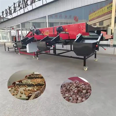 Máquina de clasificación de la máquina de clasificación de China La máquina de clasificación de cebolla clasifica con precisión los grados de cebolla y elimina el polvo de la superficie de la cebolla y la piel flotante.