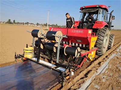 Pequeños productores de ajo